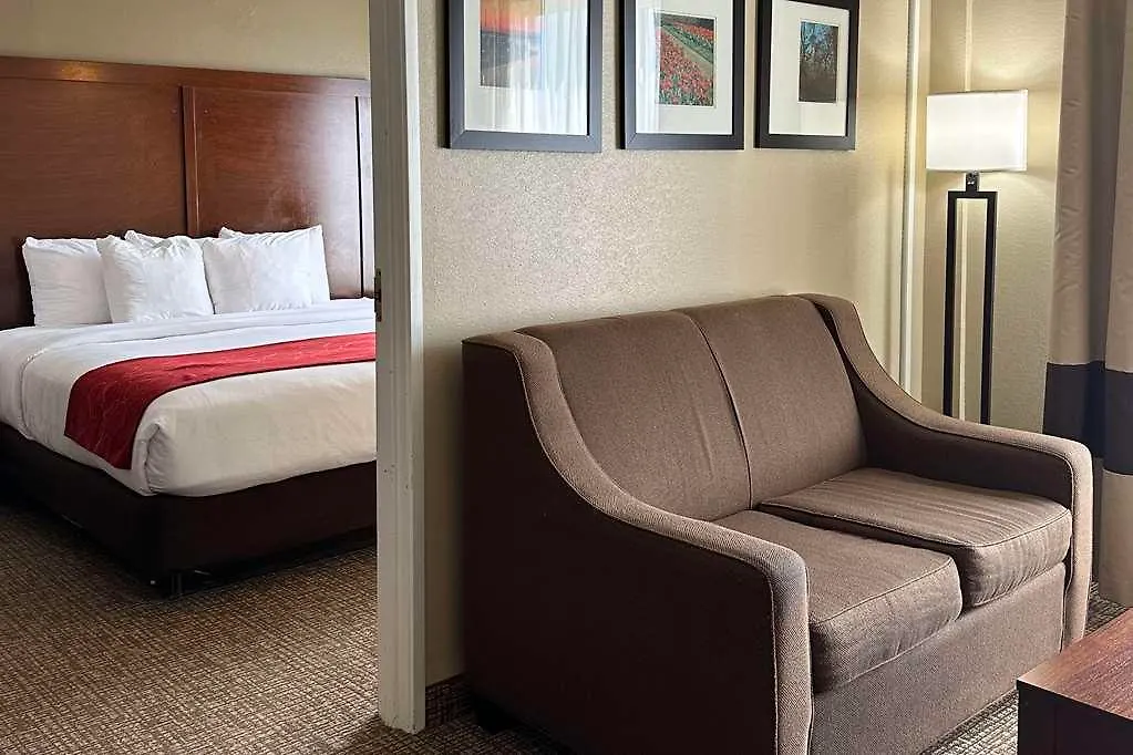 Hotel Comfort Suites Airport Charlotte